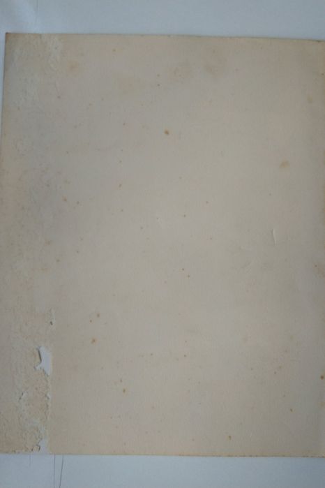 Os Azulejos do Claustro da Ordem Terceira de S. Francisco da Baía