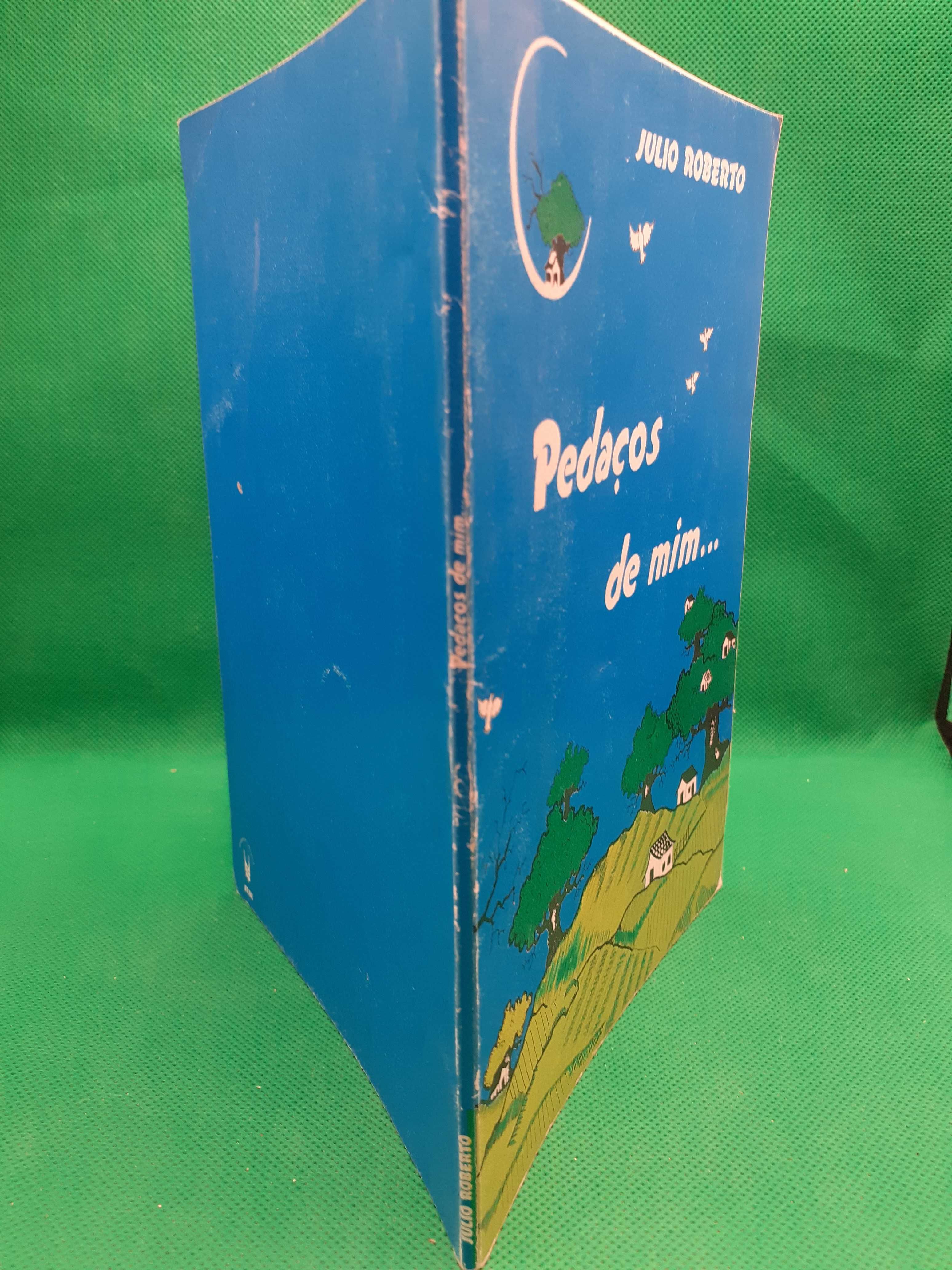 Livro - REF ESC - Julio Roberto - Pedaços De Mim...