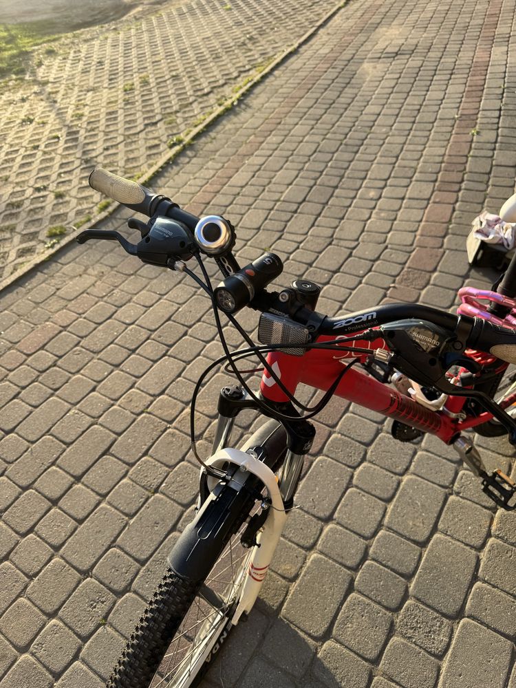 Scoot contessa 650