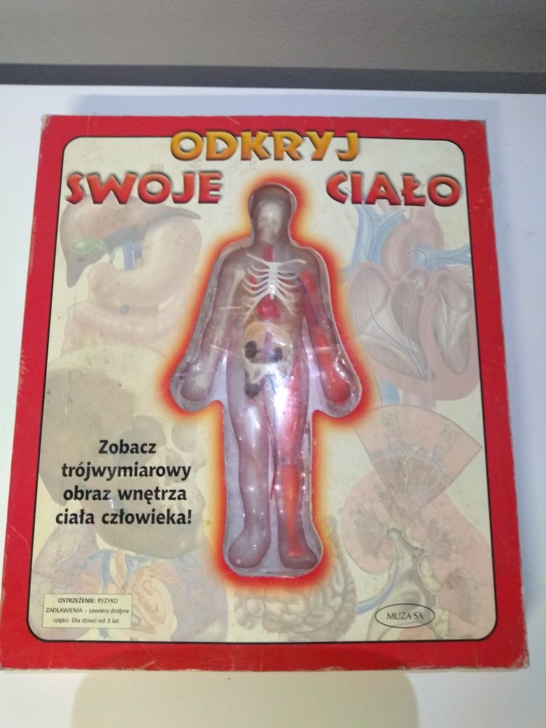 Zabawka 3D nauka biologia Odkryj swoje ciało