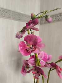 Sztuczny storczyk/orchidea