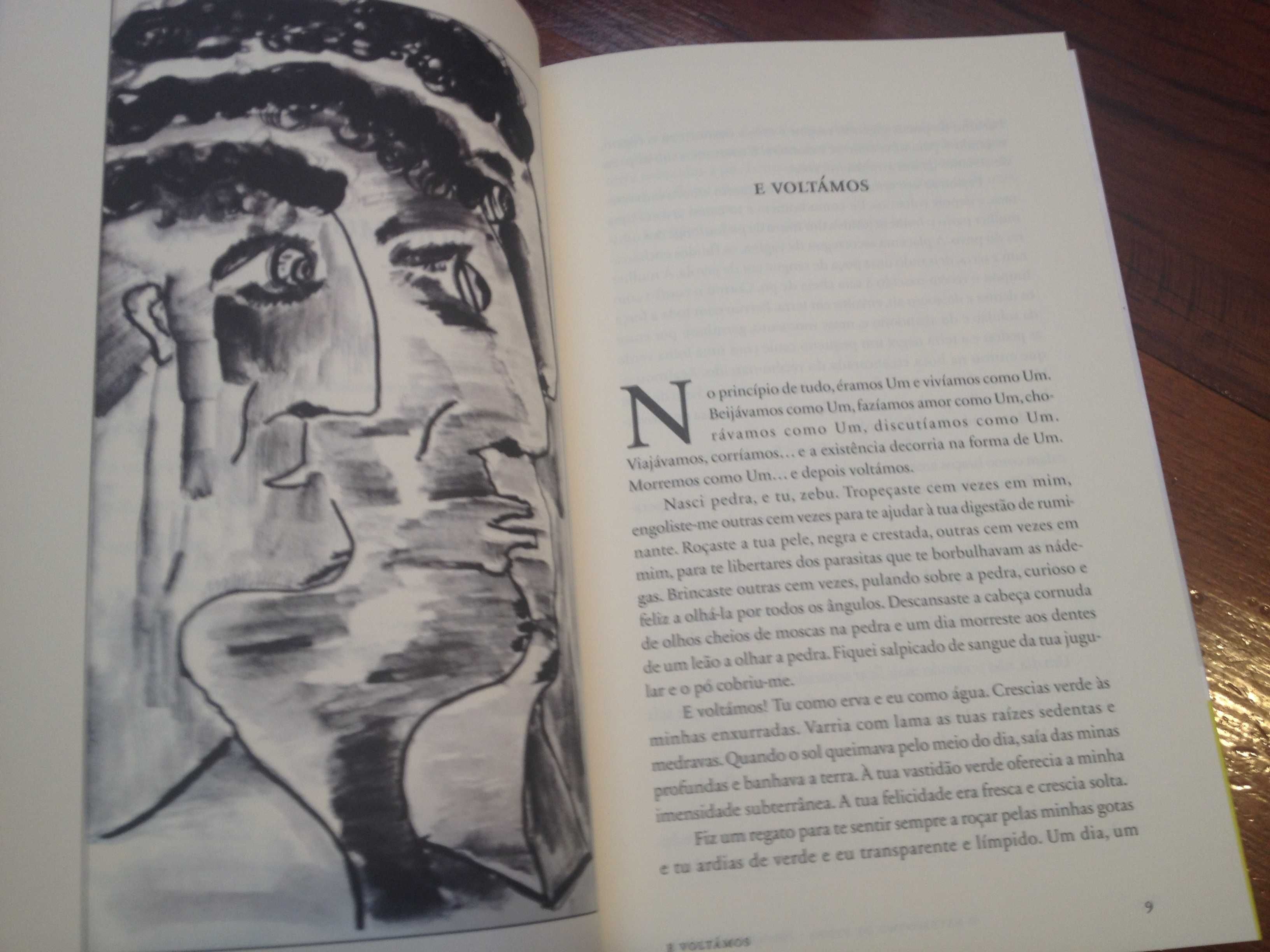 Henrique Castanheira - O heterónimo de pedra