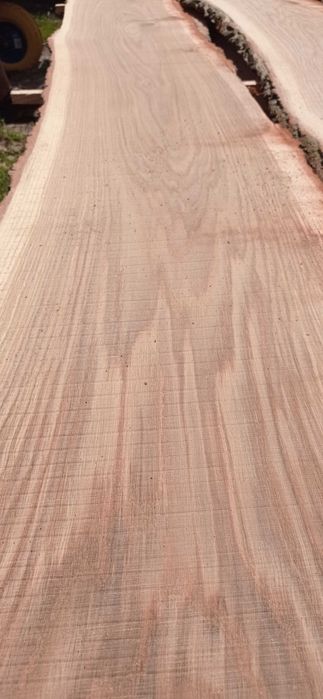 Tarcica , deska dębowa