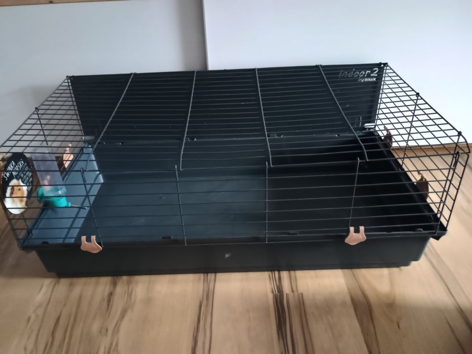 Klatka dla świnki morskiej