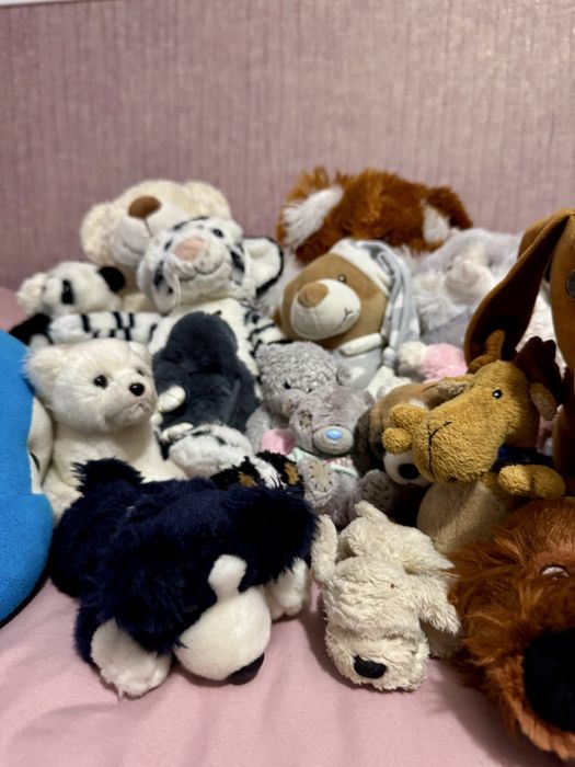 Багато різних дитячих мʼяких іграшок дельфін ведмідь собака панда тигр