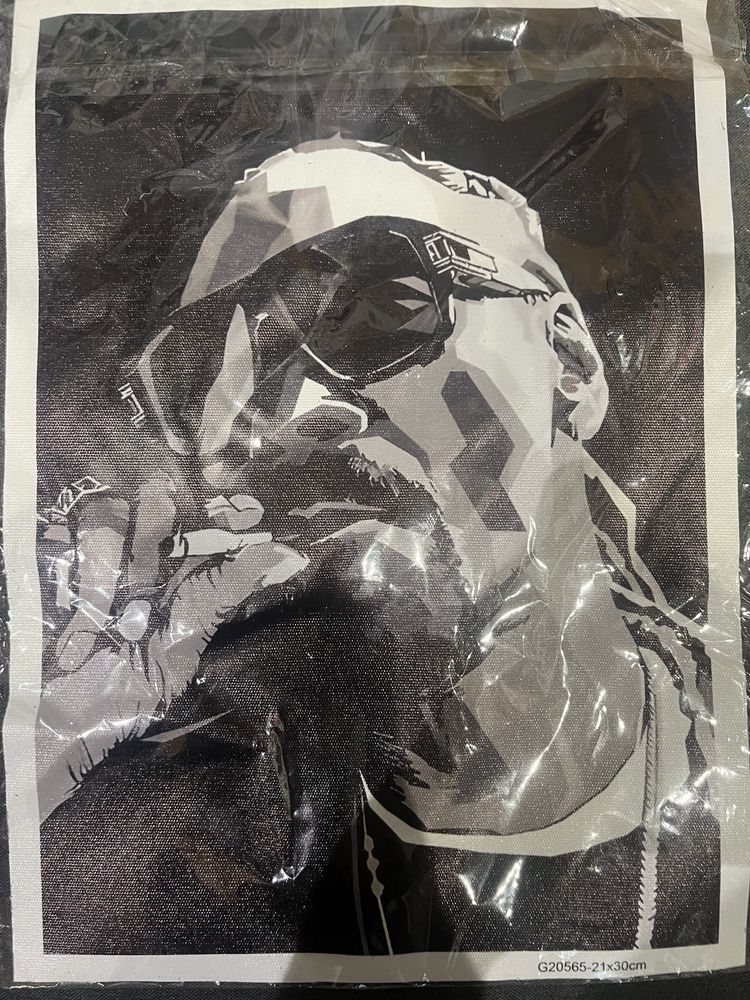 Plakat Snoop Dogg