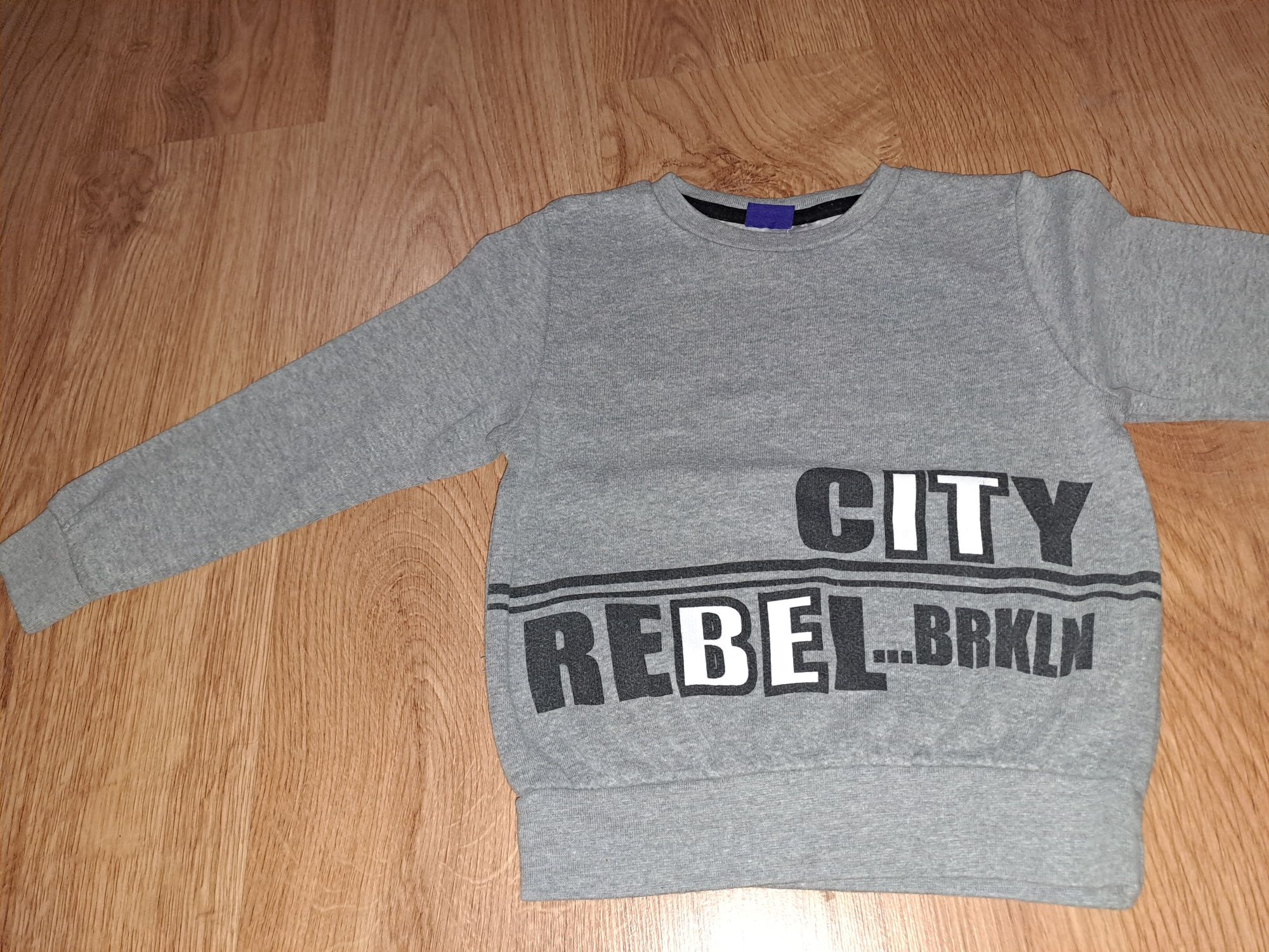 Bluza chłopięca Lupilu 98/104