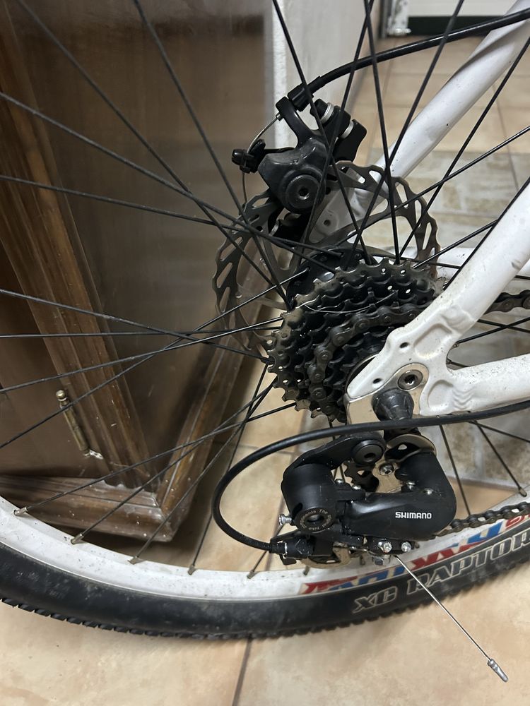Vemdo bicicleta todo terreno