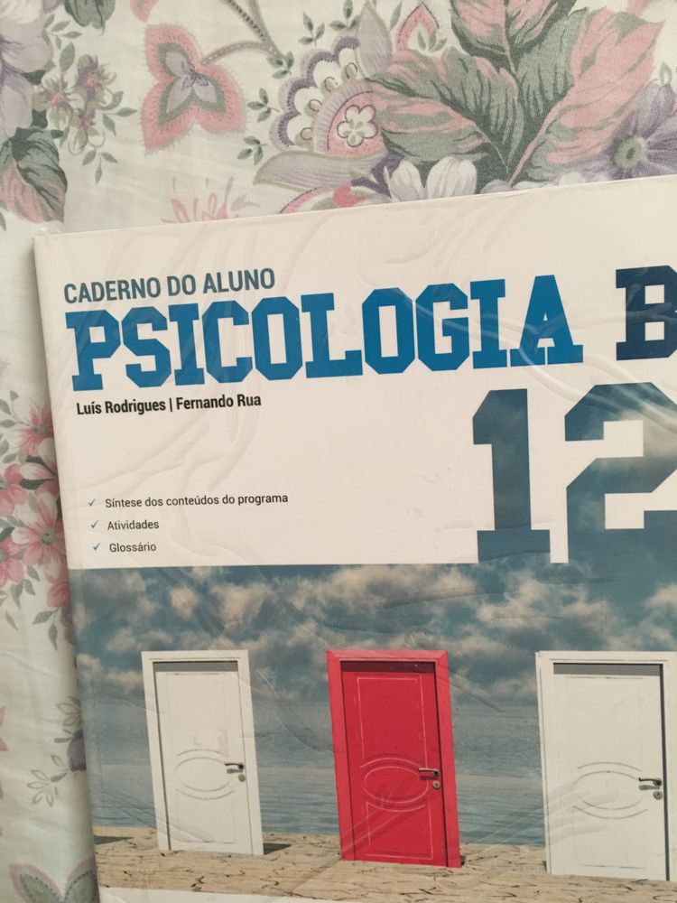 Cadernos de fichas portugues e psic 12 ano