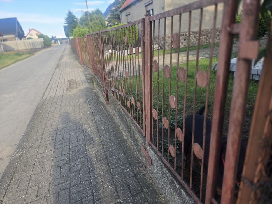 Ogrodzenie  14 m 1x brama