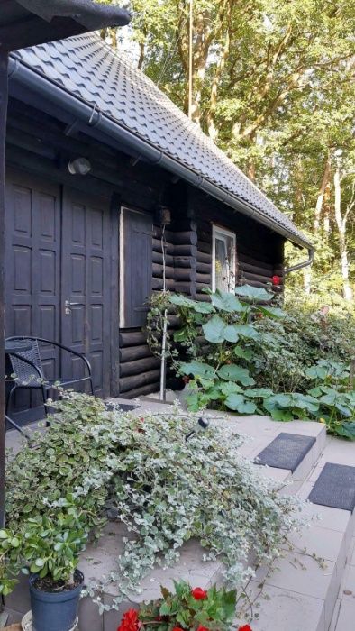 Domek w środku lasu! Na wynajem!