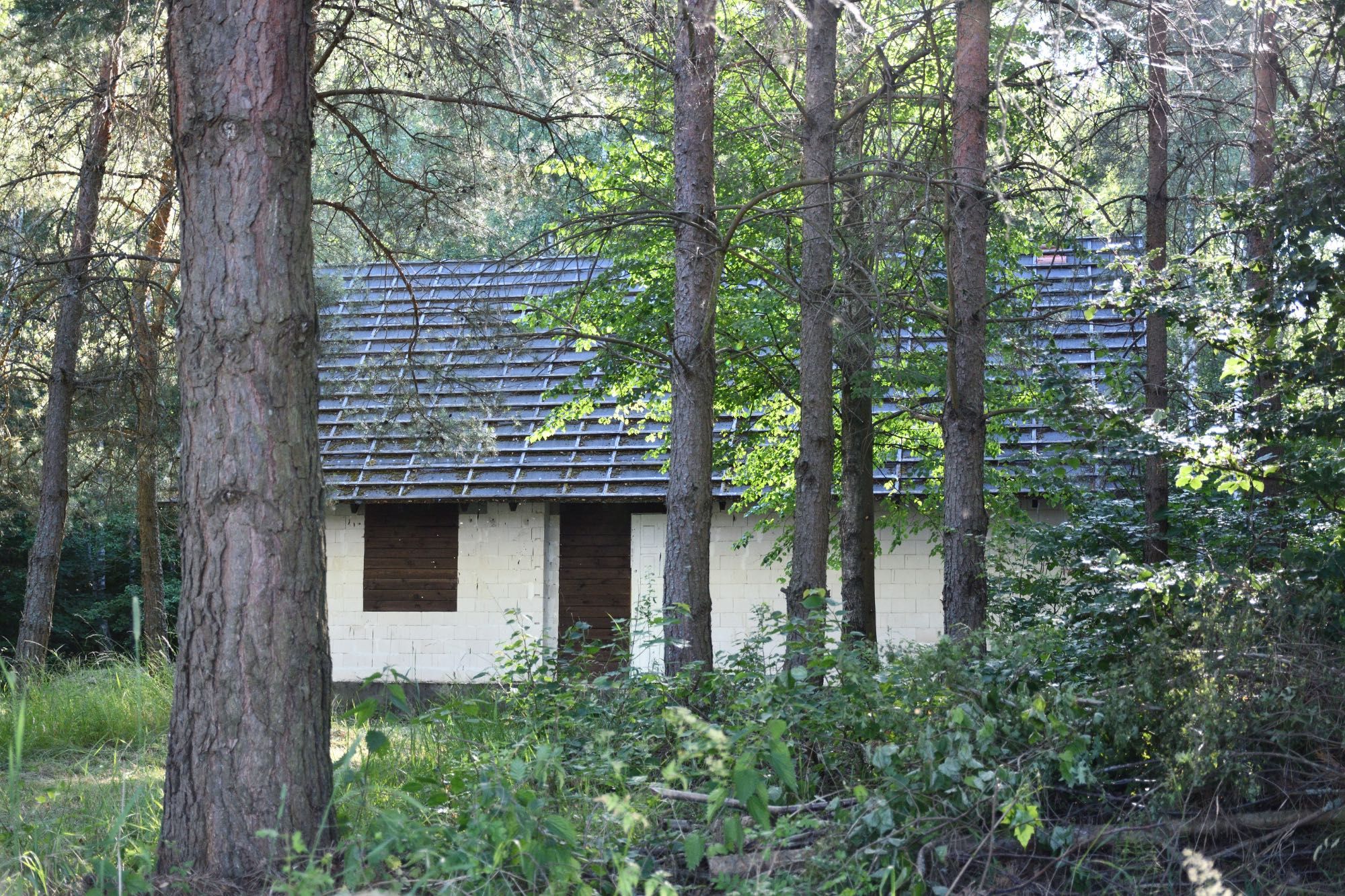Siedlisko na Mazurach