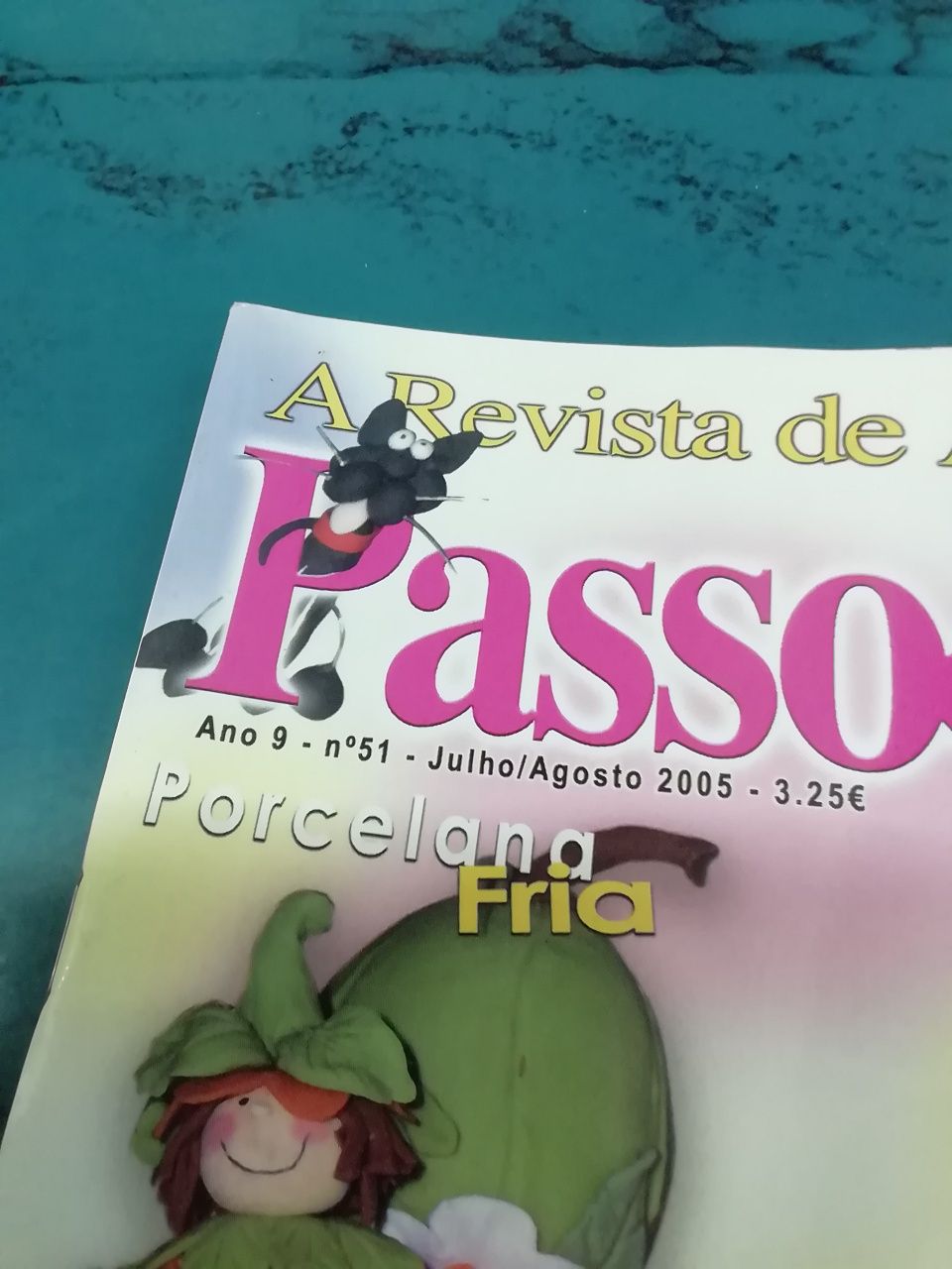 Revista Passo a passo com Paula Mendes