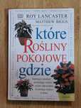 Które rośliny pokojowe gdzie Lancaster