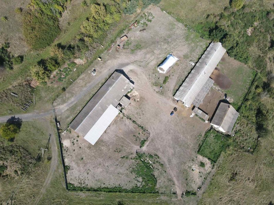 Продам територію ферми з приміщенням для вирощування птиці