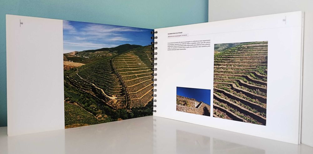 Candidatura do Alto Douro Vinhateiro a Património Mundial