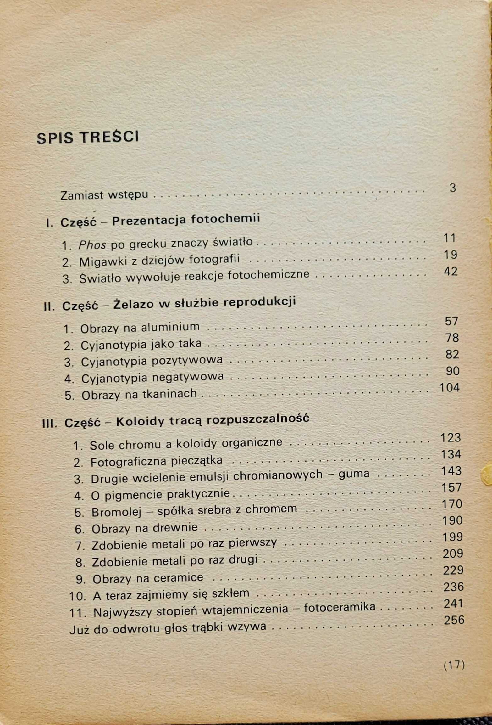 Fotochemia domowa/Sękowski