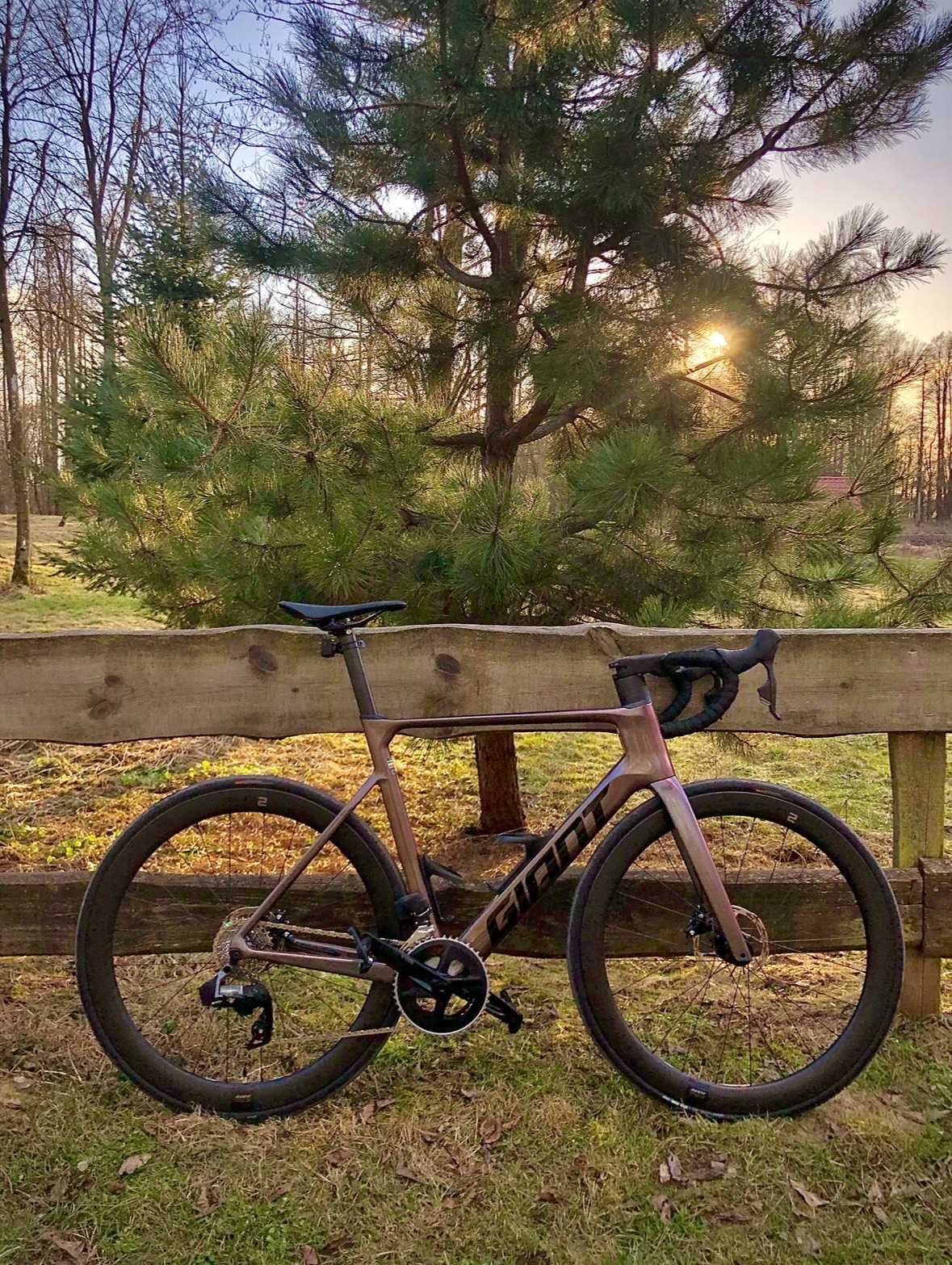 GIANT Propel Advanced 1 (2023) M/L STAN IDEALNY!