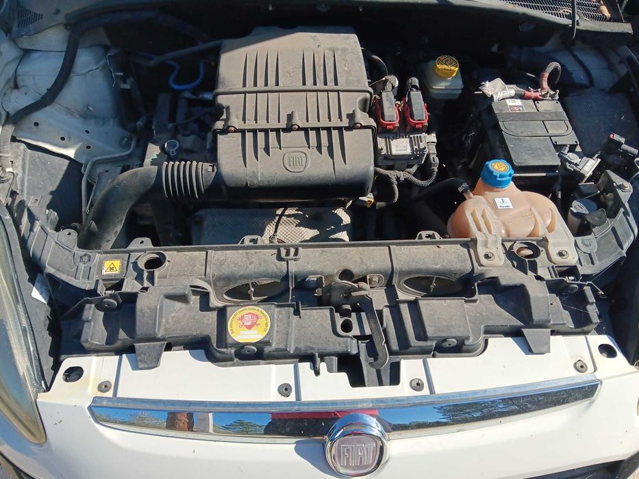 Fiat Punto Branco