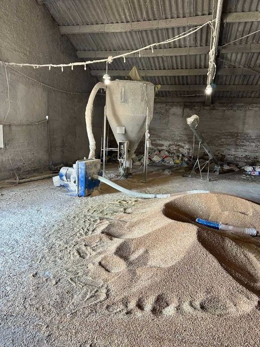 ОРЕНДА, ПРОДАЖ свиноферми