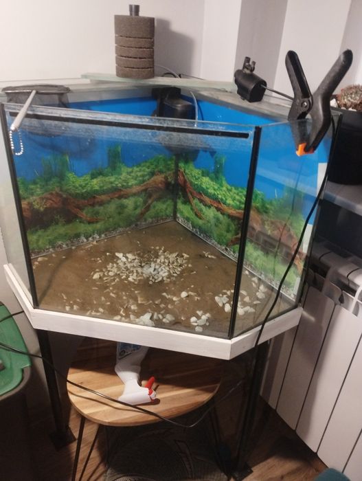 Akwarium poęciokątne rogowe