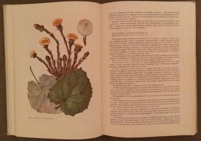 "Лечение Растениями" H. Г. КОВАЛЕВА 1972 г (книга редкая и уникальная)