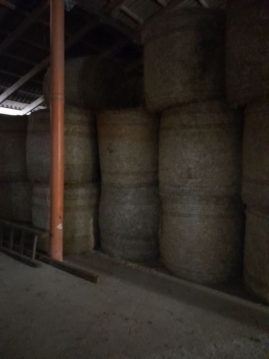 Sprzedam słomę i siano