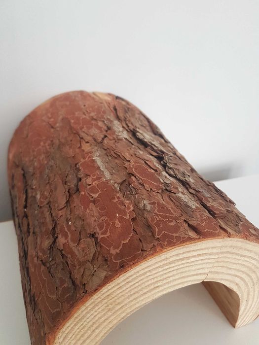 Drewniany tunel dla chomika gryzoni gadów naturalny uszkodzony