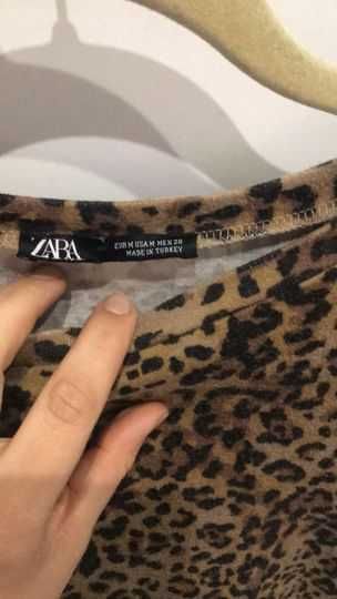 sukienka panterka zara