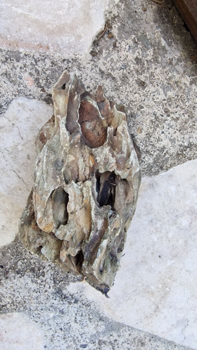 Pedras para aquário