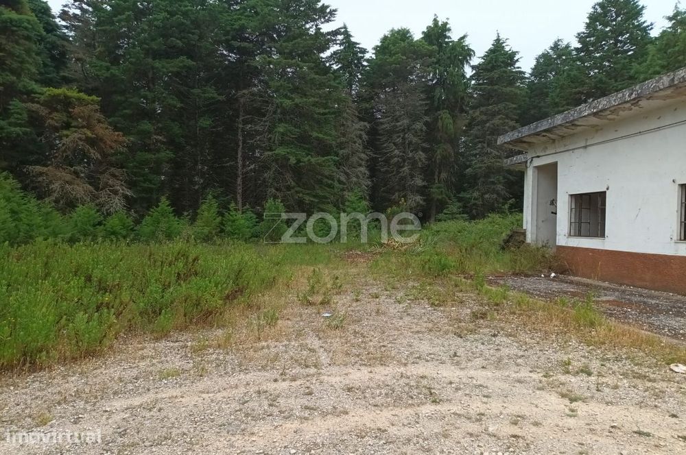 Terreno com Armazem em Monte de Bera-Almalagues