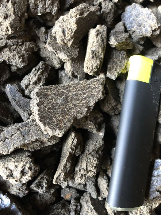 Макуха соняшника