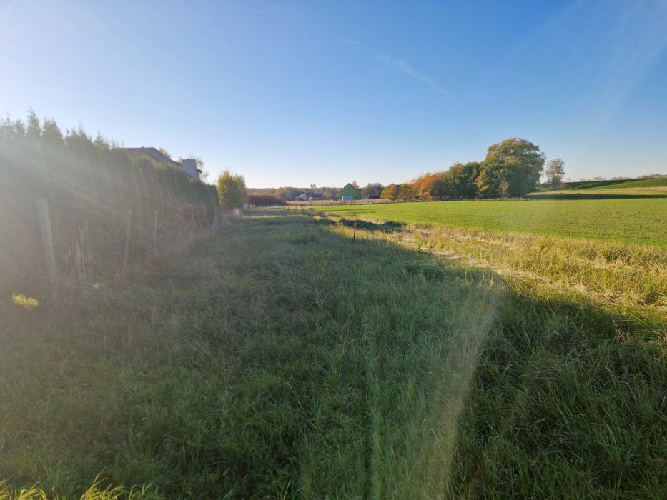 Działka budowlana 23 ary (2334m2) zabudowa zagrodowa - Przeciszów-Las