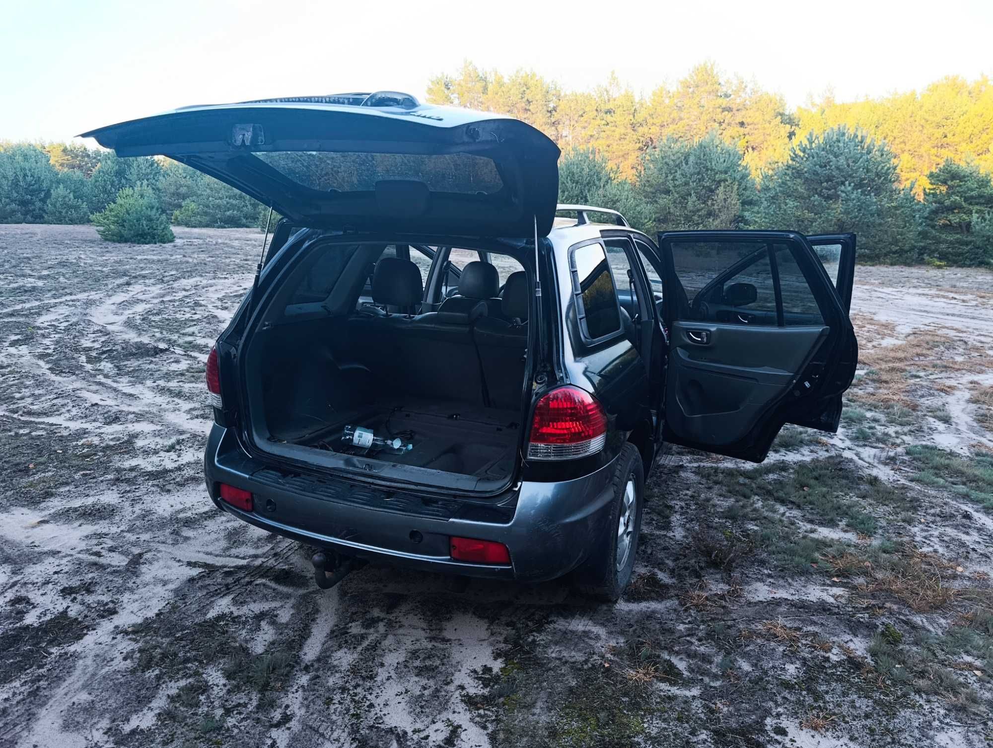 Hyundai Santa Fe 2004