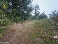 Terreno na Camacha