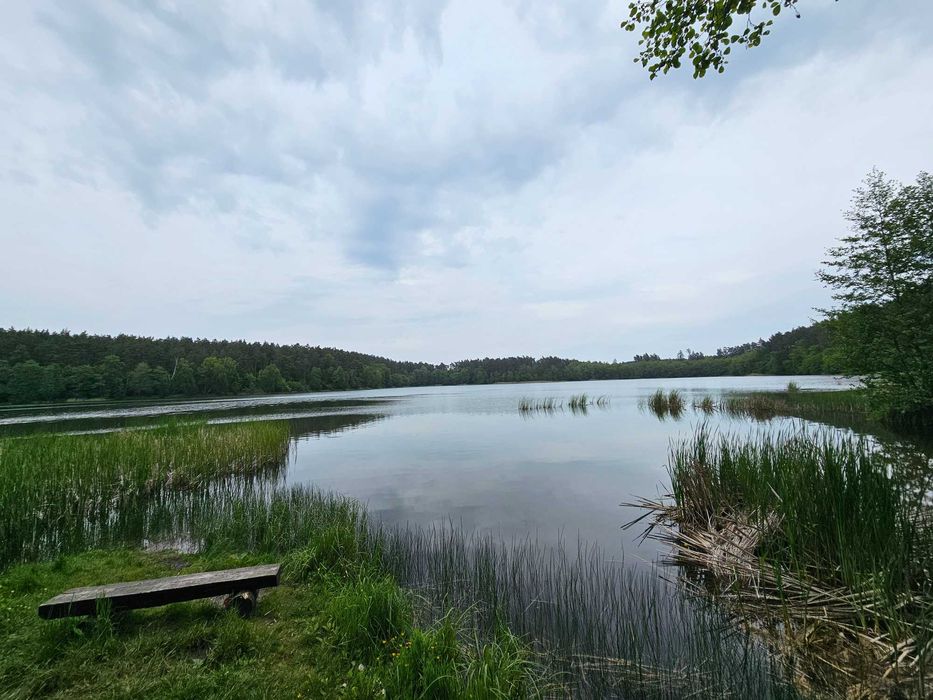 Dom turystyczny całoroczny, Domek letniskowy,dom nad jeziorem, mazury