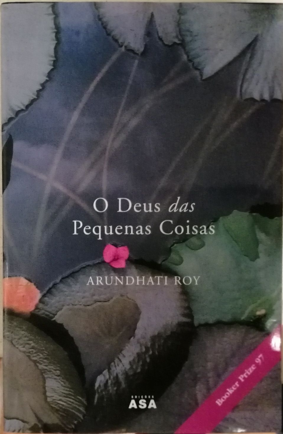 Livro "O Deus das Pequenas Coisas"