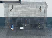 Viveiro novo 150x120x70 com rede galvanizada 19x19x2mm