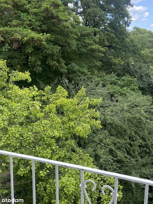 Atrakcyjne mieszkanie na wynajem