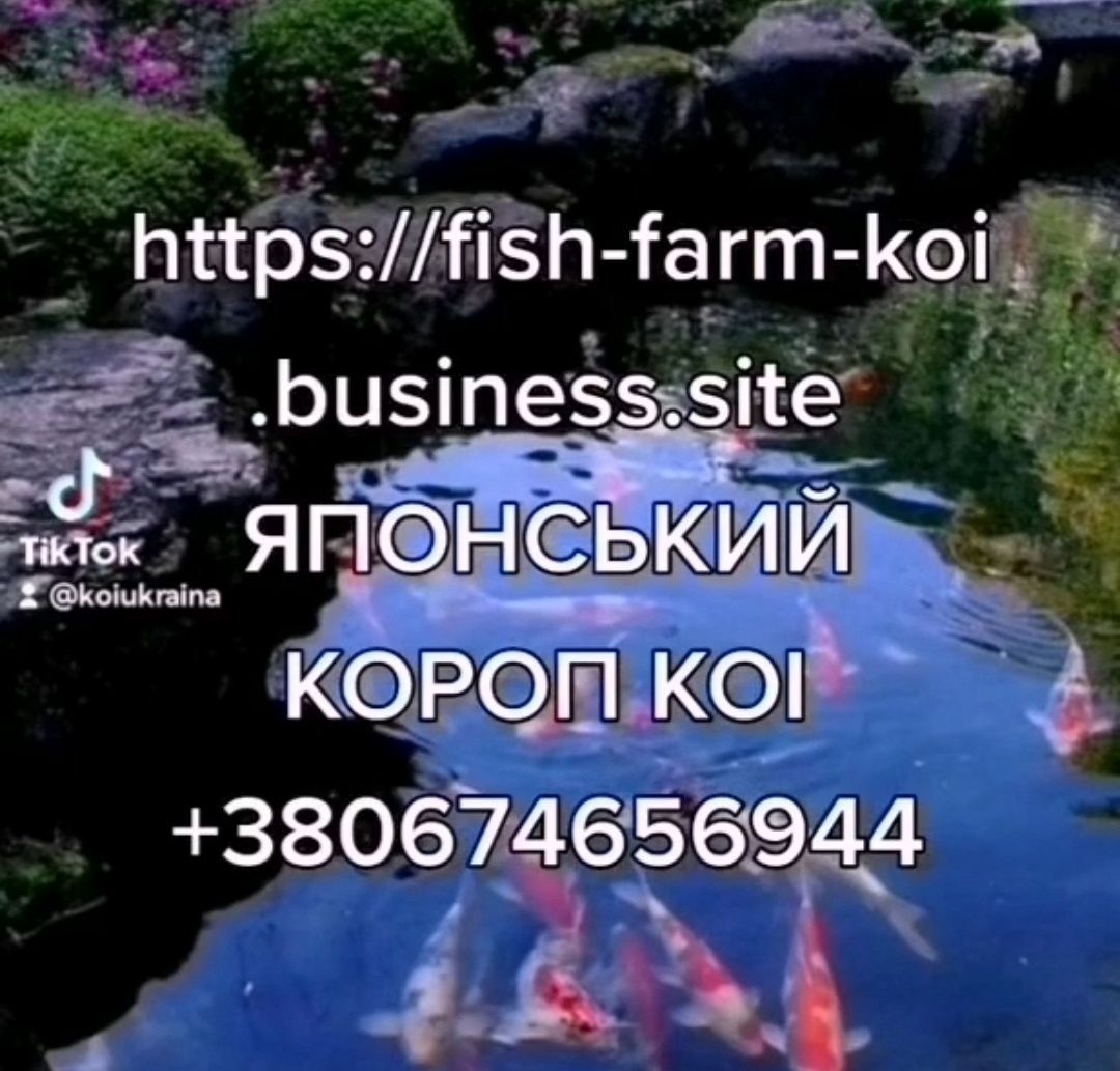 Рибки для ставка,коі великі,японський короп коі,мікскої,koi Ukraine i