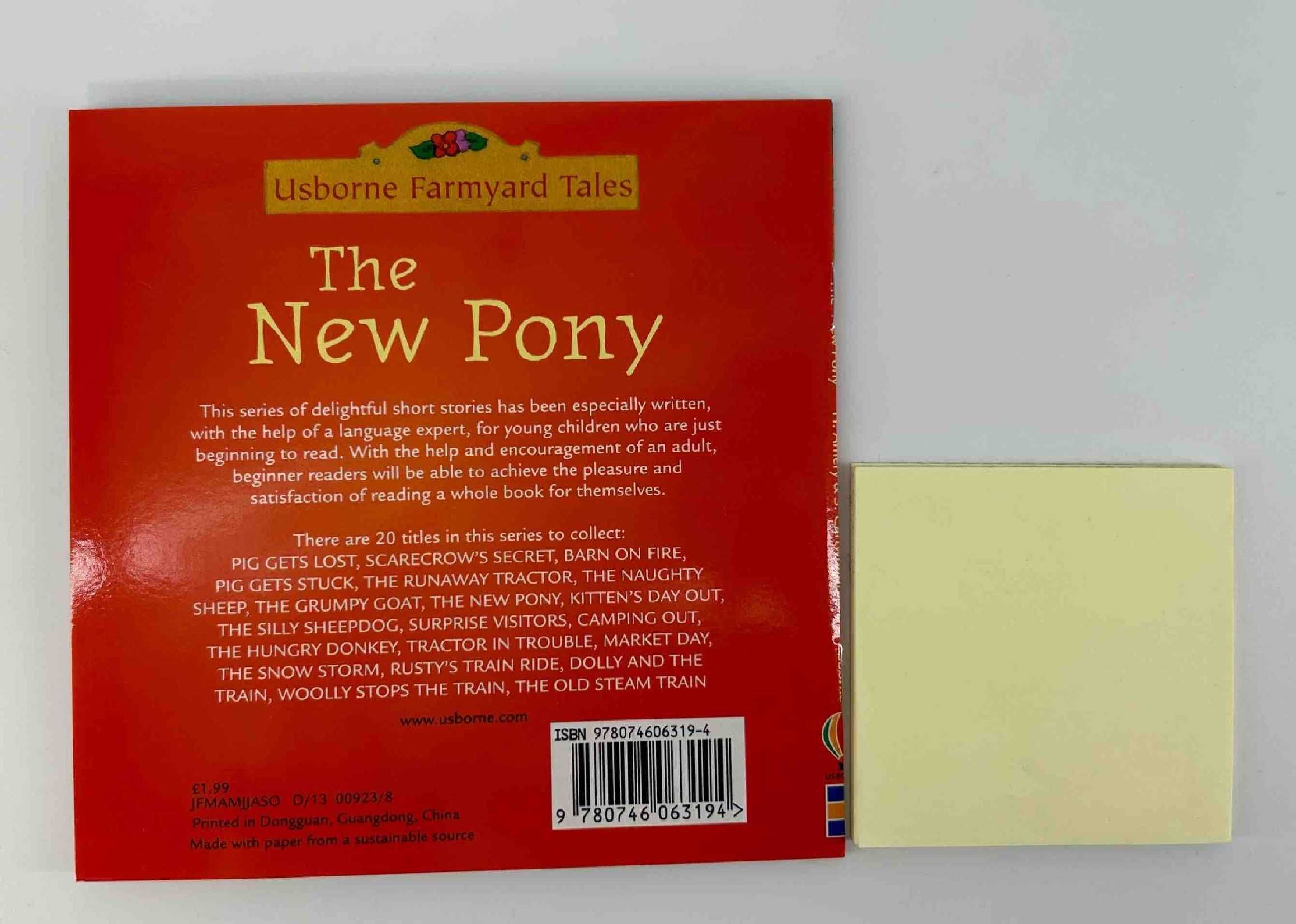 NOWA Usborne The New Pony