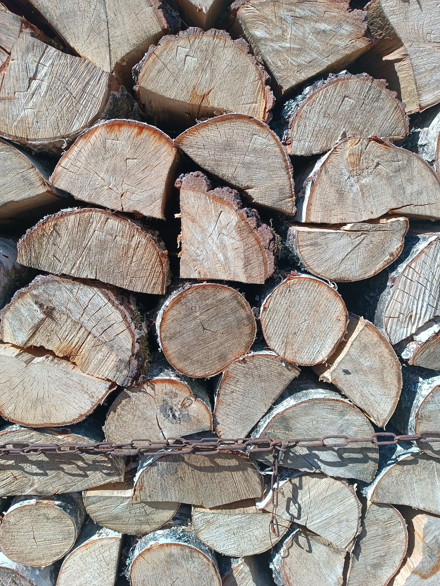 Drewno kominkowe brzoza