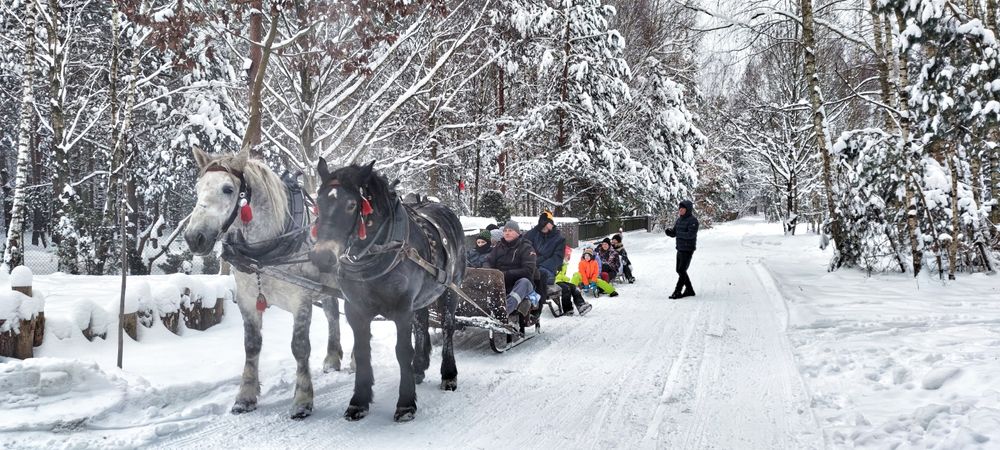 Dom na imprezy wieczór kawalerski/Panieński
