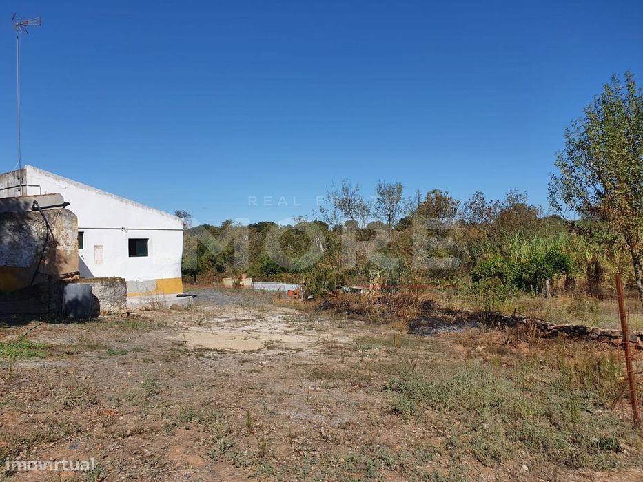 Herdade - Alvito