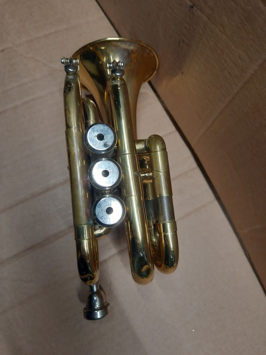 Корнет "MaxTone by French Engineer"