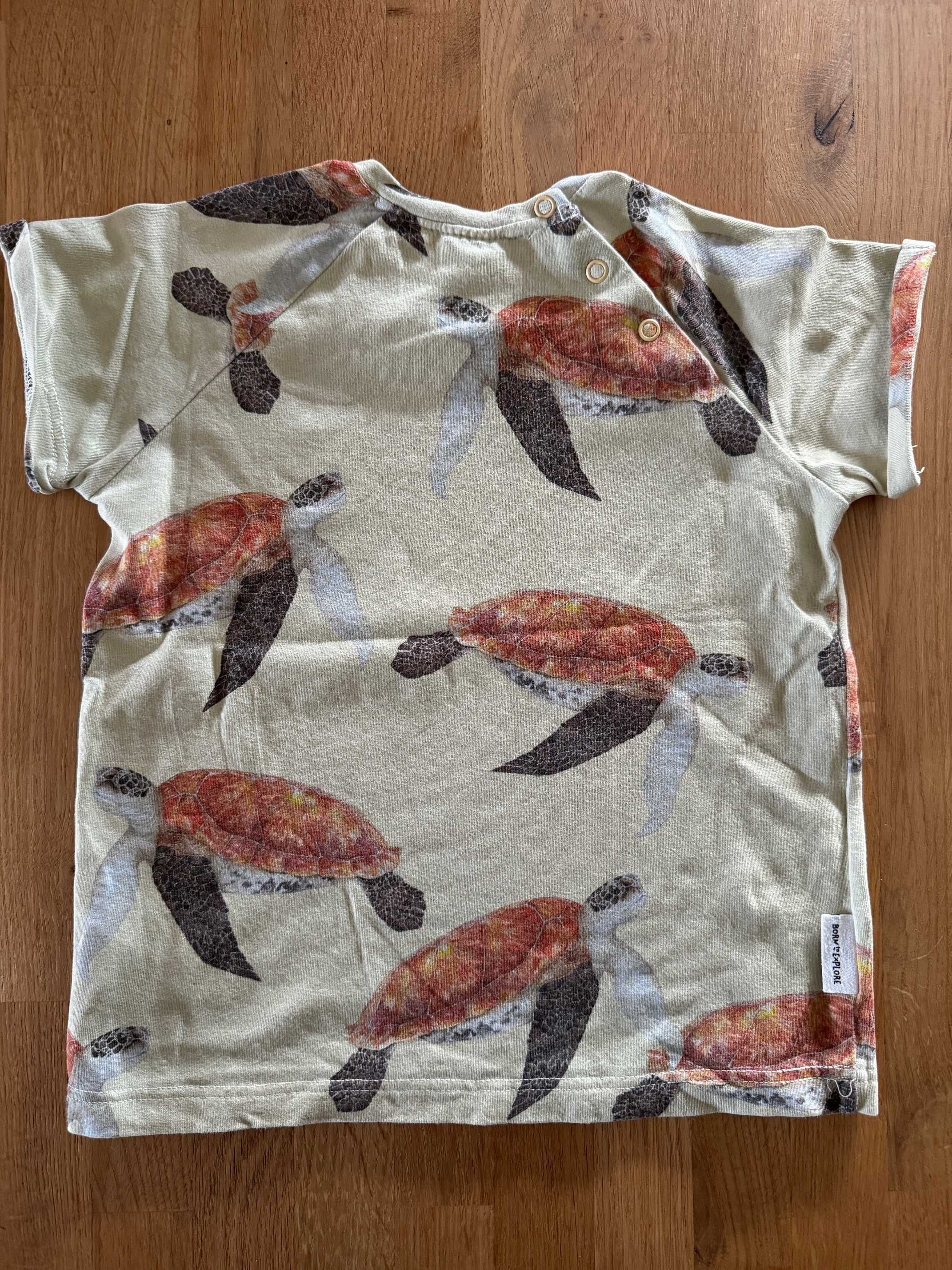 T-shirt dziecięcy cytrynowy Żółw Morski 104/110 bawełna organiczna