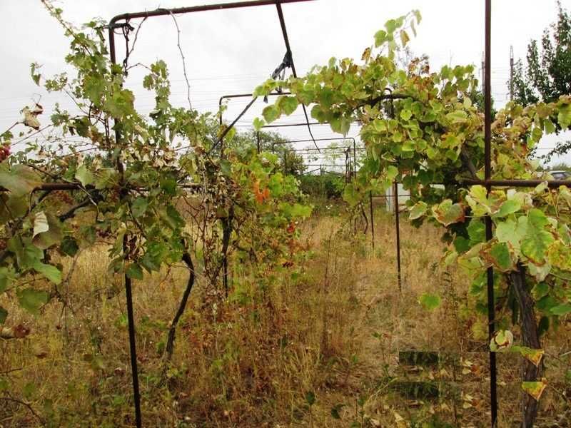 Продається гарна ділянка недорого  в 5 км від Одеси.