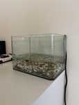 Aquario 7 litros
