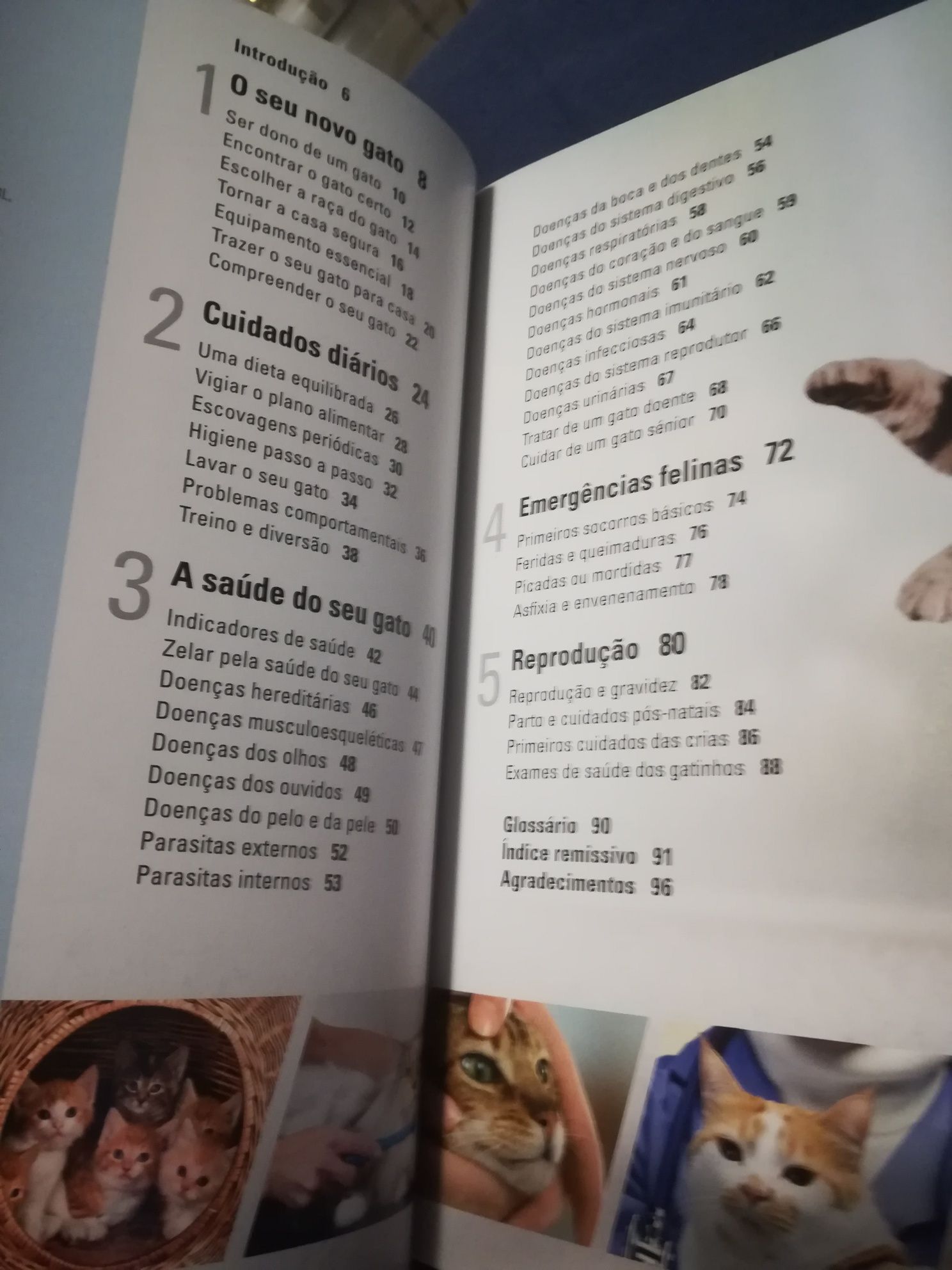 Manual do Gato          .