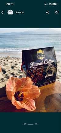 Kawa Kopi Luwak z Bali